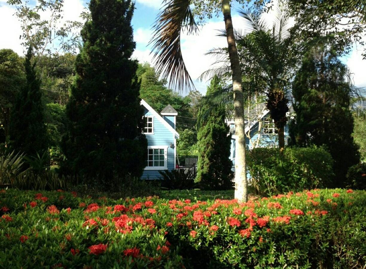 Baan Jaokorkluay บ้านเจ้ากอกล้วย Chiang Rai Buitenkant foto
