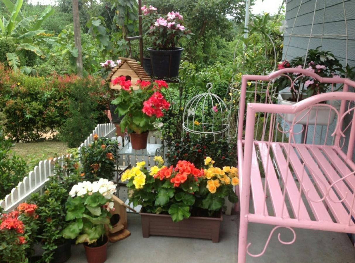Baan Jaokorkluay บ้านเจ้ากอกล้วย Chiang Rai Buitenkant foto